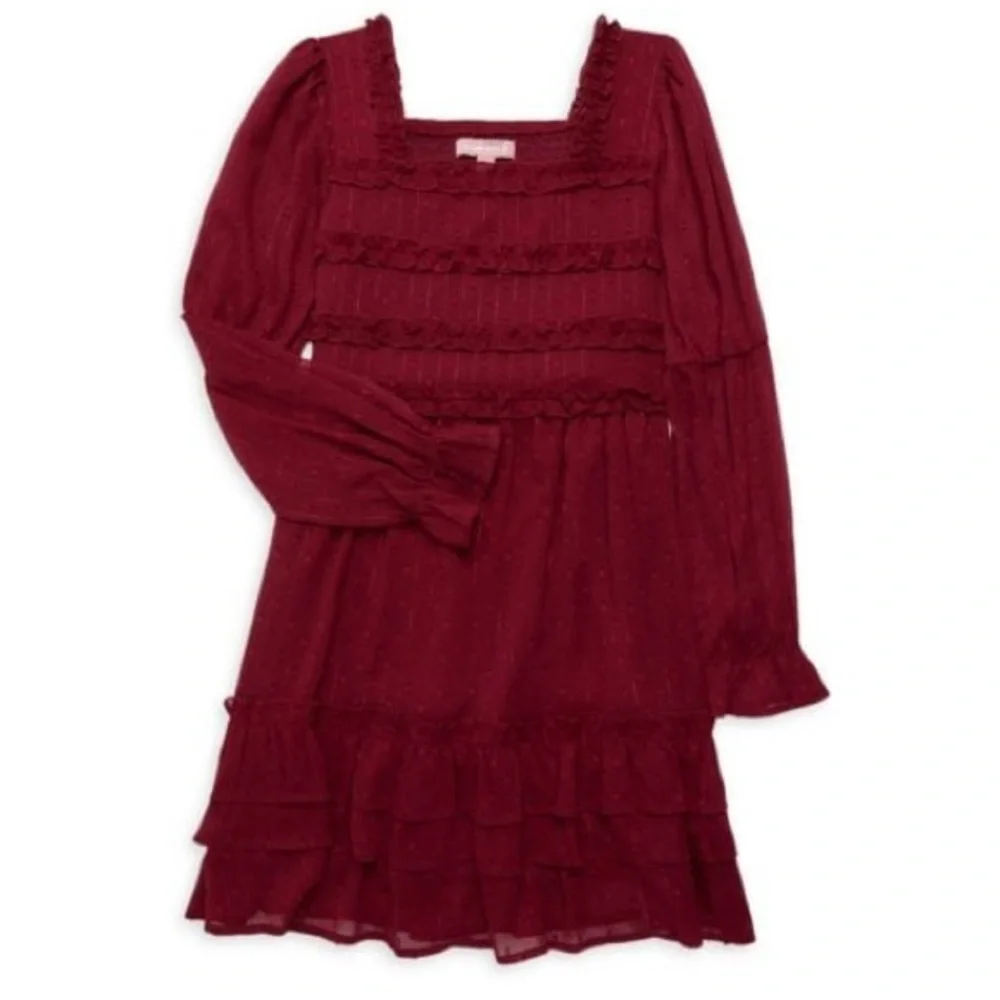 BCBG Girl Swiss Dot Ruffle Dress in Burgundy, Size 14